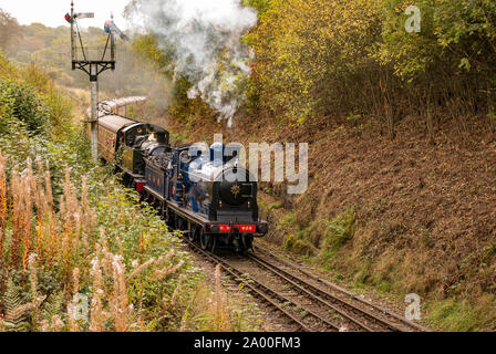 Steam trains in tandem (one pulling the other) with passenger carriages on the Severn Valley Railway in Shropshire. Stock Photo