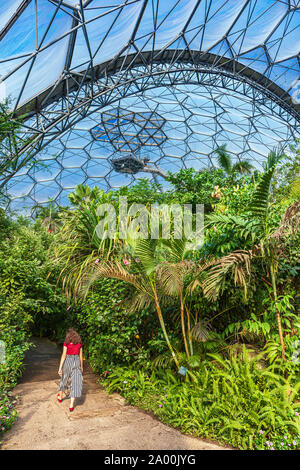 The Rainforest Biome in the Eden Project, Cornwall. Stock Photo