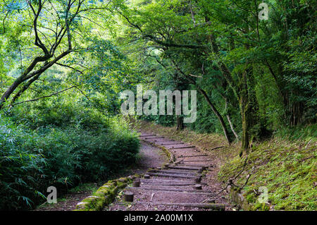 hiking-path-with-stairs-in-