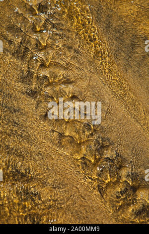 Detalles de arena y agua (Sand and water features). Playa Dail Beag Beach. Lewis Island. Outer Hebrides. Scotland, UK Stock Photo