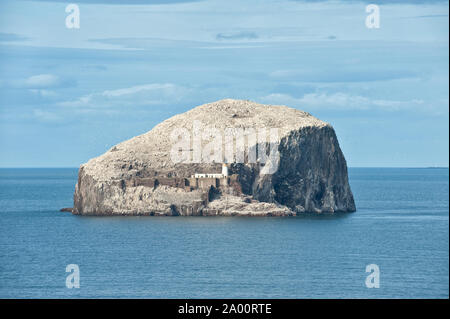 Bass Rock island. Firth of Forth, south-east Scotland Stock Photo