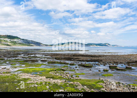 The view east towards Charmouth from the Lyme Regis protecting wall at low tide on a sunny summer day Stock Photo