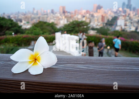 Kaohsiung, Taiwan: A beautiful flower blossom on a railing in front of the word Love in giant letters  at Martyrs Shrine with many  tourists Stock Photo