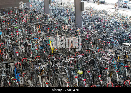 Hundreds of bicycles parked at a railway station in Rotterdam, the Netherlands Stock Photo
