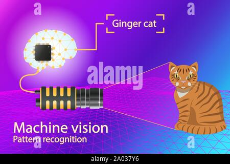 Vector infographic - computer vision and pattern recognition Stock Vector