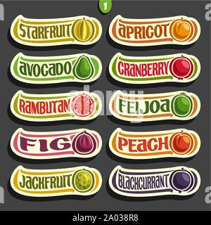 Vector Set of colorful Fruits and Berries Labels: collection of exsotic fruits logo with lettering, isolated on black. Stock Vector