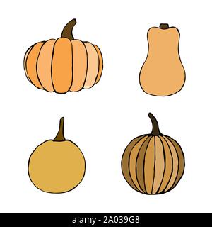 Vector hand drawn orange pumpkins set. Sketch of garden vegetable of different sizes. Doodle illustration of seasonal autumn crop harvesting. Isolated Stock Vector
