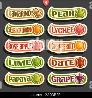 Vector Set of colorful Fruits and Berries Labels: collection of exsotic fruits logo with lettering, isolated on black. Stock Vector