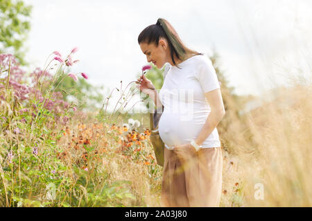 Young pregnant woman with dark hair smelling the flowers while standing in the field and enjoying the summer time Stock Photo