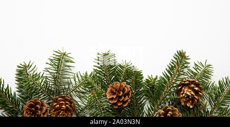 Christmas decoration garland. Fir twig fresh and pine cones against white color background, banner Stock Photo