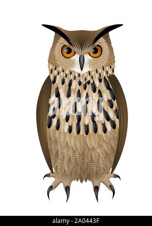 cute owl illustration isolated on white background - vector Stock ...
