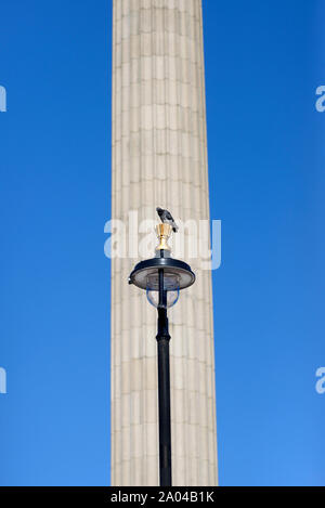 London, England UK. Pigeon on a lamppost in front of Nelson's Column, Trafalgar Square. Stock Photo