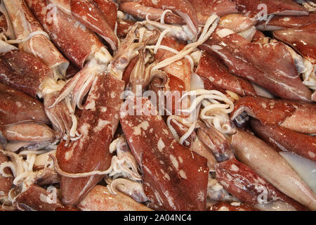 Squids on sale in a sicilian fish market Stock Photo