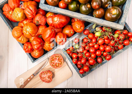 Variety Fresh tomatoes in crates on wooden background. Raf, cherry and kumato tomatoes. Stock Photo