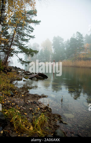 Serene Scandinavian fall landscape of Southern Finland, Espoo in foggy day. Colorful autumn forest reflecting in calm sea water. Fallen leaves Stock Photo
