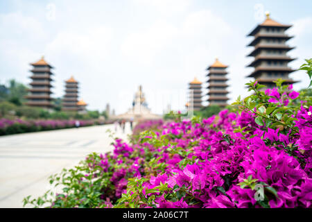 Kaohsiung, Taiwan: Magenta color Bougainvillea with 5 chinese pagodas and big Buddha statue in background. At Fo Guang Shan Buddha Museum Stock Photo