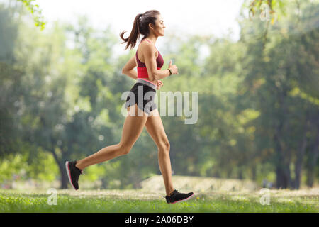 Outdoor shot of active brunette woman in sportswear poses on yoga mat, does  stretching exercises with gymnsatic ball, poses in forest or park on green  grass. Aerobics, healthy lifestyle concept 10372083 Stock