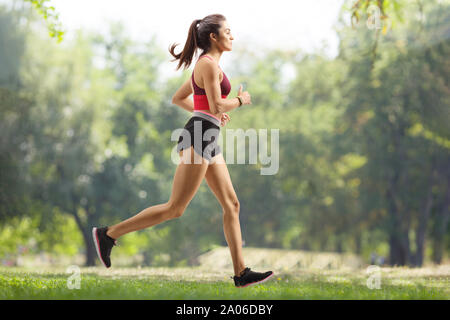 Outdoor shot of active brunette woman in sportswear poses on yoga mat, does  stretching exercises with gymnsatic ball, poses in forest or park on green  grass. Aerobics, healthy lifestyle concept 14939511 Stock