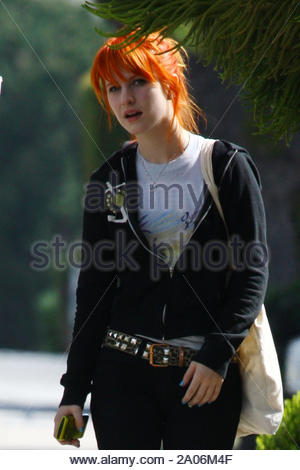 Frontwoman For The Hugely Popular Pop Punk Band Paramore Hayley