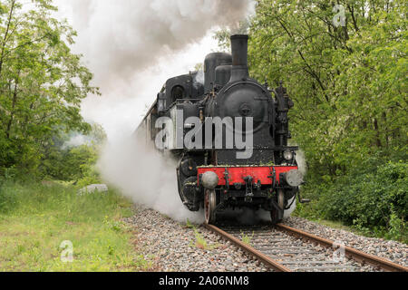 Vintage steam train with ancient locomotive and old carriages runs on the tracks in the countryside Stock Photo