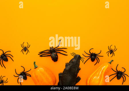 Halloween background with decorations: pumpkins, black rat and different spiders, as symbols of Halloween on the orange background. Happy Halloween Stock Photo