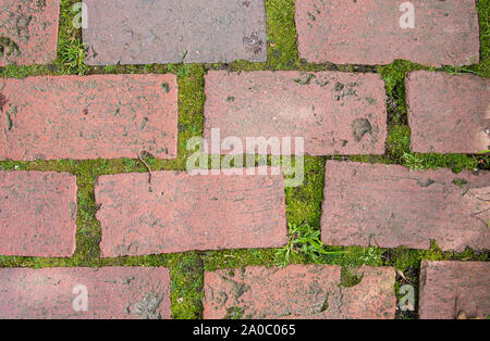 Moss grows between weathered red bricks Stock Photo
