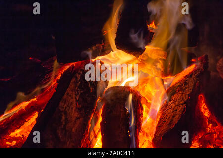 Camp fire - close up of burning wood and intense flames Stock Photo