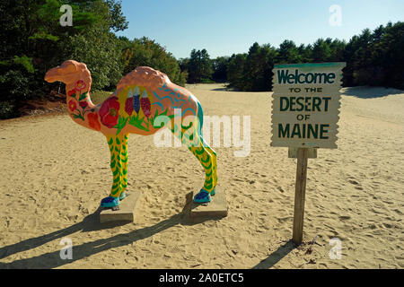 The desert of Maine Stock Photo