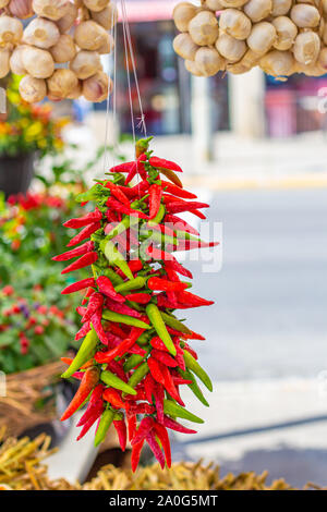 A bunch of small red and green chili peppers hangs on strings below some garlic in a farmer's market. Stock Photo