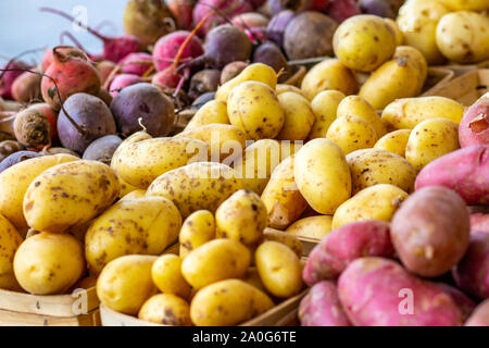 Potatoes and other root vegetables are displayed in baskets at a farmer's market. Stock Photo