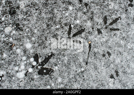North America; United States; Montana; Wildlife; Birds; Tracks on Ice; Great Blue heron; Ardea herodias Stock Photo