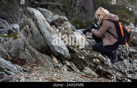 Taken on the coast of Lapataia bay in the National Park of Tierra del Fuego Stock Photo
