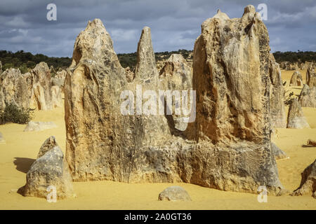 Bizarre rock formations The Pinnacles in late afternoon light, Nambung National Park, Western Australia Stock Photo