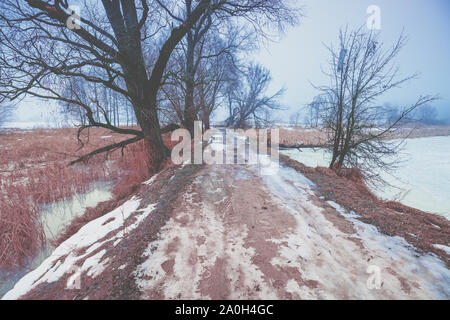 Rural winter landscape. Frosty weather. Frozen lake in the early morning. Trees by the lake. Dam road between lakes Stock Photo