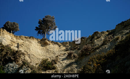 Teetering on the Edge of Volcanoes