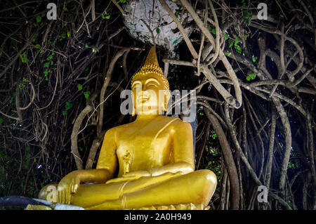 A golden buddha statue under a tree outside the jungle temple of Wat Phon Phao in Luang Prrabang, Laos Stock Photo