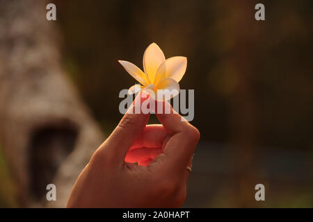 Conceptual photography showing being at one with nature and showing the healing and wellness in embracing harmony with nature Stock Photo