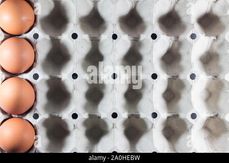 Fresh eggs from the farm in the panel white paper. Background eggs arranged in panels paper. Eggs and paper panel on white background. Stock Photo