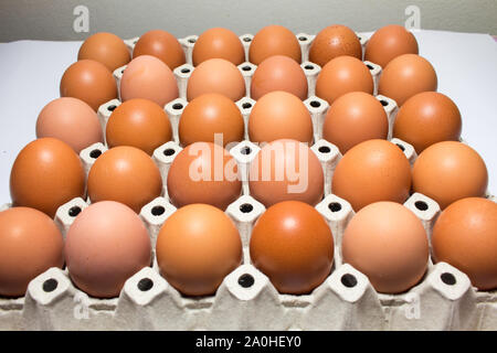 Eggs and paper panel on white background. Fresh eggs from the farm in the panel white paper. Background eggs arranged in panels paper. Stock Photo