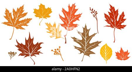 Autumn leaves silhouette isolated. Stock Vector