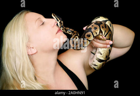 Portrait of girl with Royal Python snake. Beautiful woman holds snake in hands and posing in front of camera. Exotic tropical cold-blooded reptile. Stock Photo