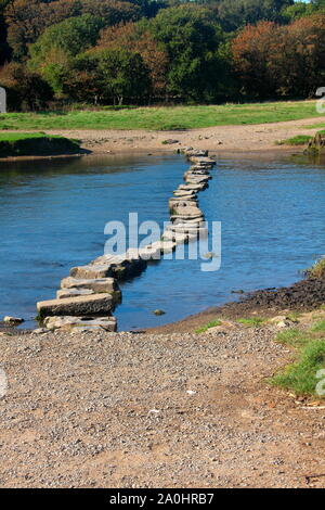 The well known stepping stones of Ogmore castle ruins in the quiet village of Ogmore near Bridgend in South Wales. Stock Photo