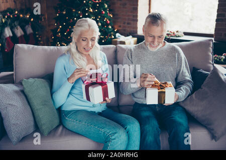 Portrait of nice charming adorable cheerful wondered grey-haired Stock Photo