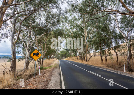 Road in Victoria, Australia, with koala crossing sign. Stock Photo