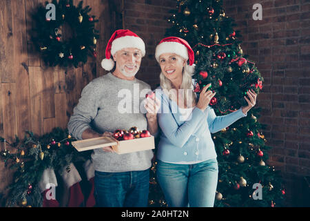 Portrait of nice charming adorable stylish trendy grey-haired ma Stock Photo