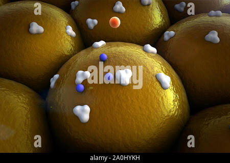 protein on the fat cells, receptors and vein on the cells surface, Stock Photo