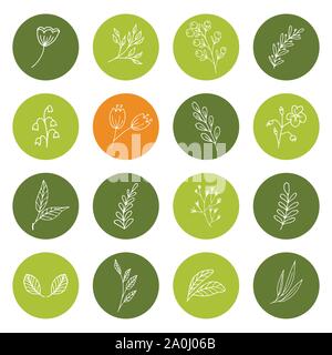 Set of hand drawn floral icons Stock Vector