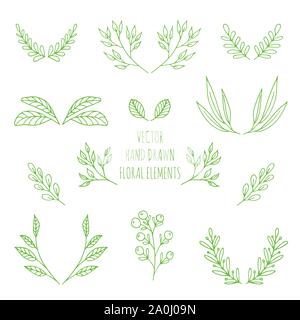 Vector hand drawn floral elements Stock Vector
