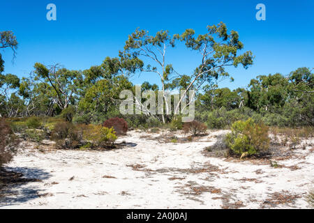 Landscape in Little Desert National Park in Victoria, Australia. Stock Photo