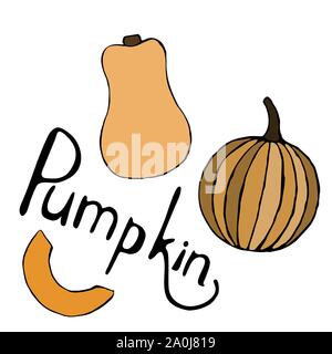 Vector hand drawn orange pumpkins set and lettering text. Sketch of garden vegetable of different sizes and pumpkin lettering. Doodle illustration of Stock Vector
